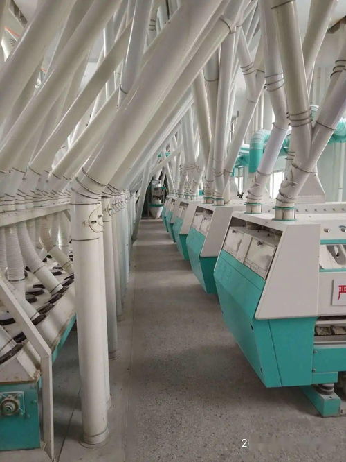 梁山縣新豐面粉廠 品質為基，誠招全國經銷商與國內貿易代理